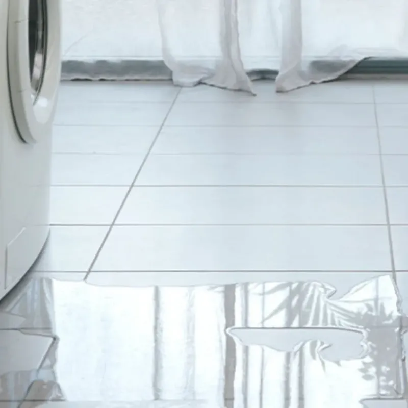 Appliance Leak Cleanup in Girard, PA