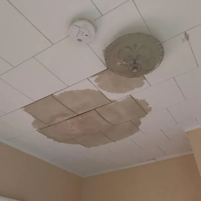 Ceiling Water Damage Repair in Girard, PA