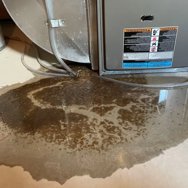 Pipe Burst and Leak Restoration in Girard, PA