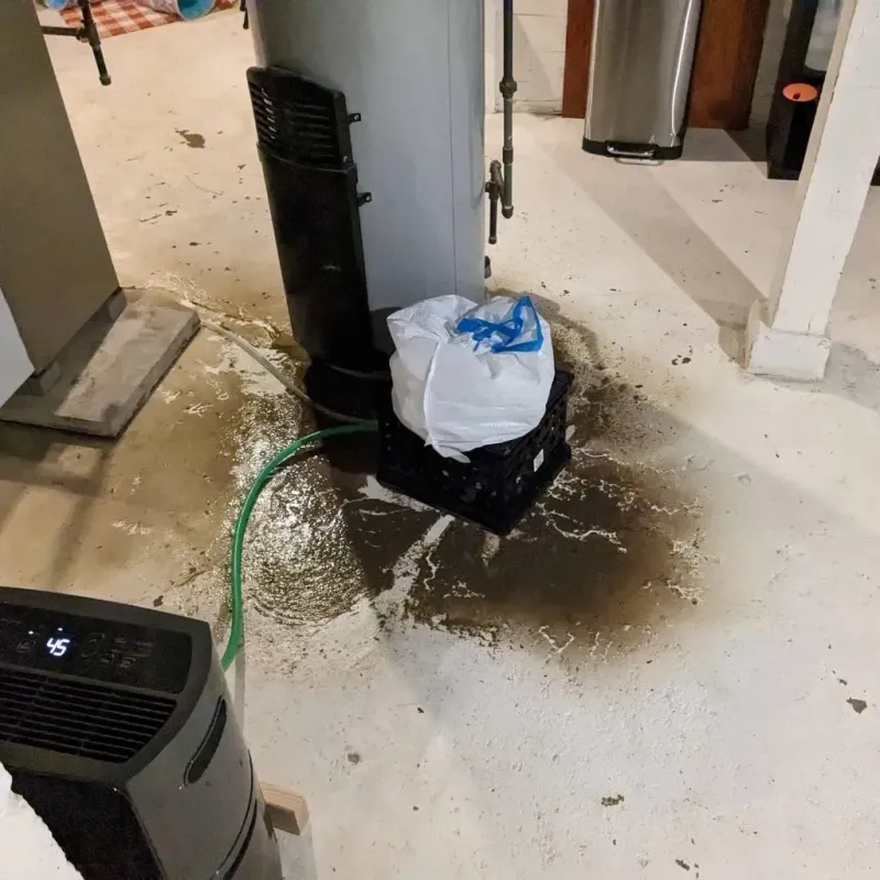 Sewage Backup Cleanup Service in Girard, PA